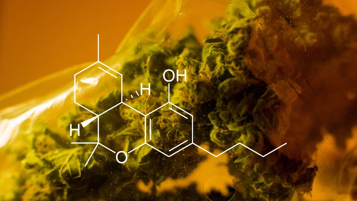 Medizinisches Cannabis München – Cannabis auf Rezept beim Hausarzt in der Hausarztpraxis am Romanplatz