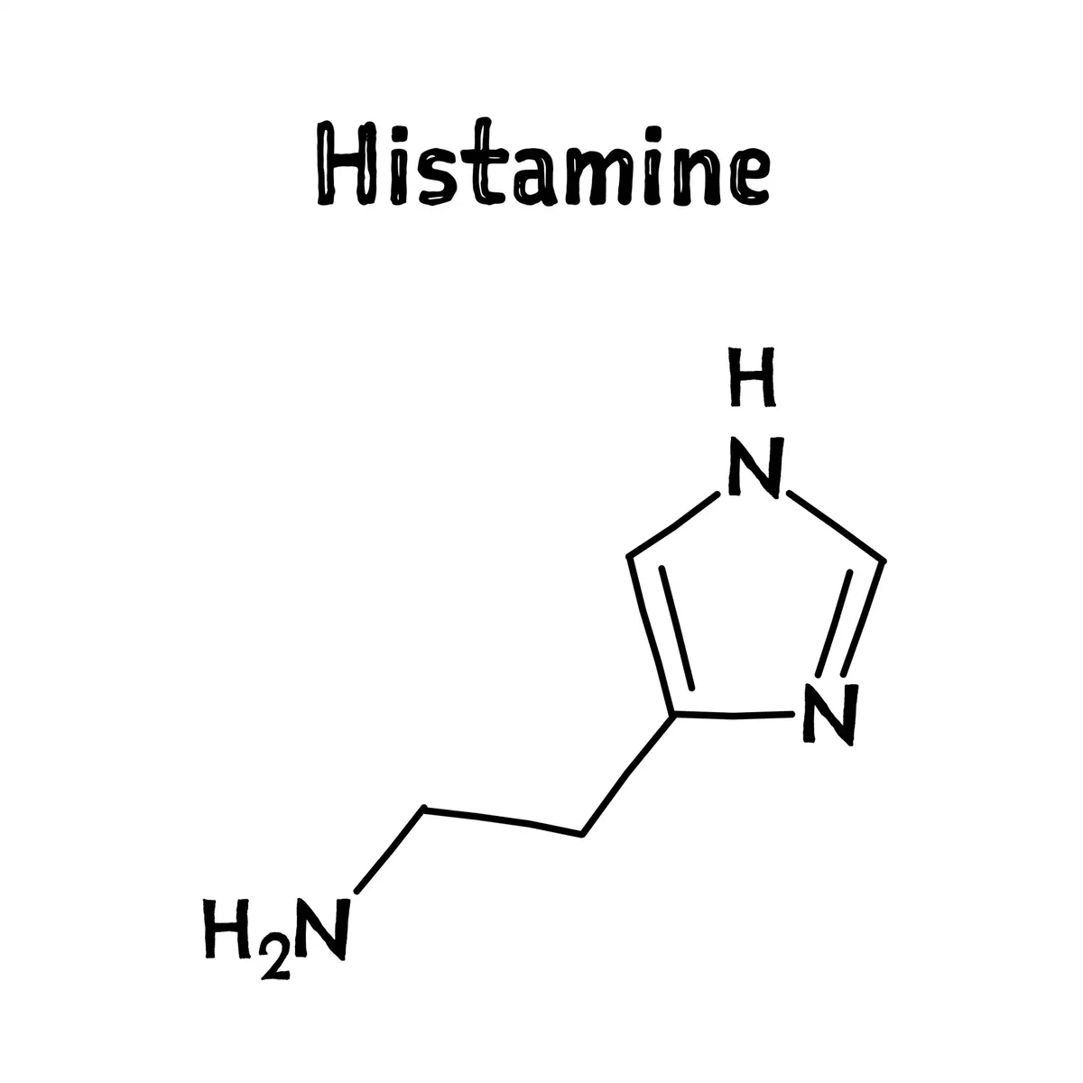 Histamin und DAO: Abbauweg bei Histaminintoleranz verständlich dargestellt.