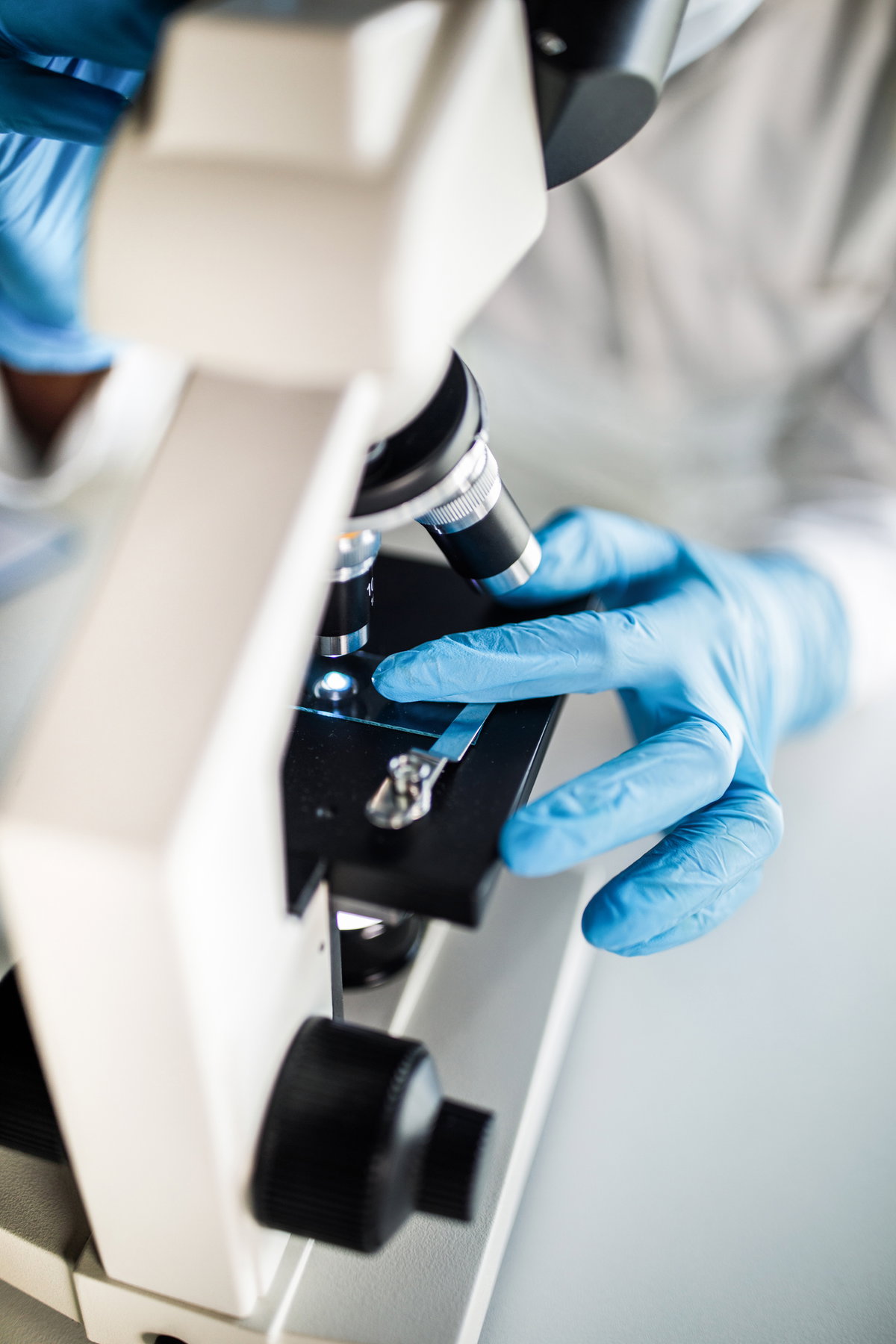 Differentialblutbild: Blutausstrich und Zellunterscheidung unter dem Mikroskop