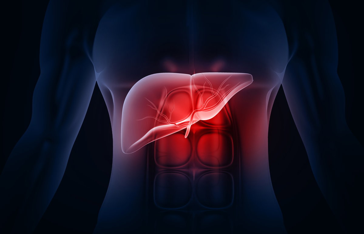Schlechte Leberwerte, Gamma-GT erhöht und Leberwerte im Blutbild einfach erklärt