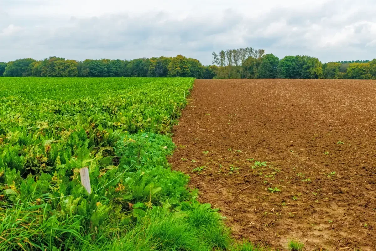 Landwirtschaftlicher Boden als Grundlage der Spurenelementversorgung