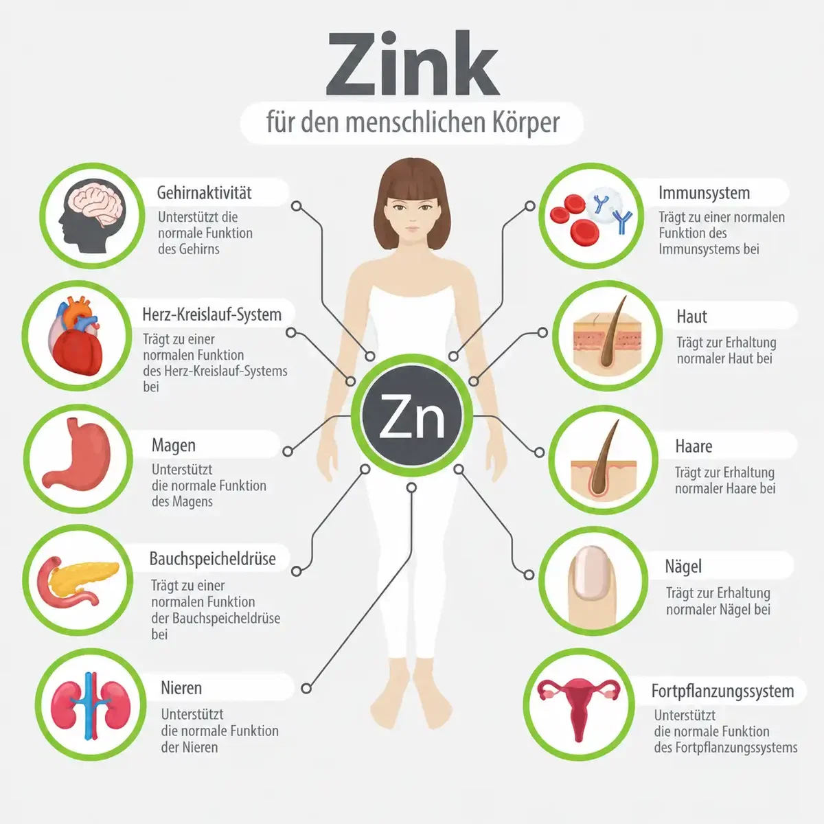 Funktionen von Zink im menschlichen Körper